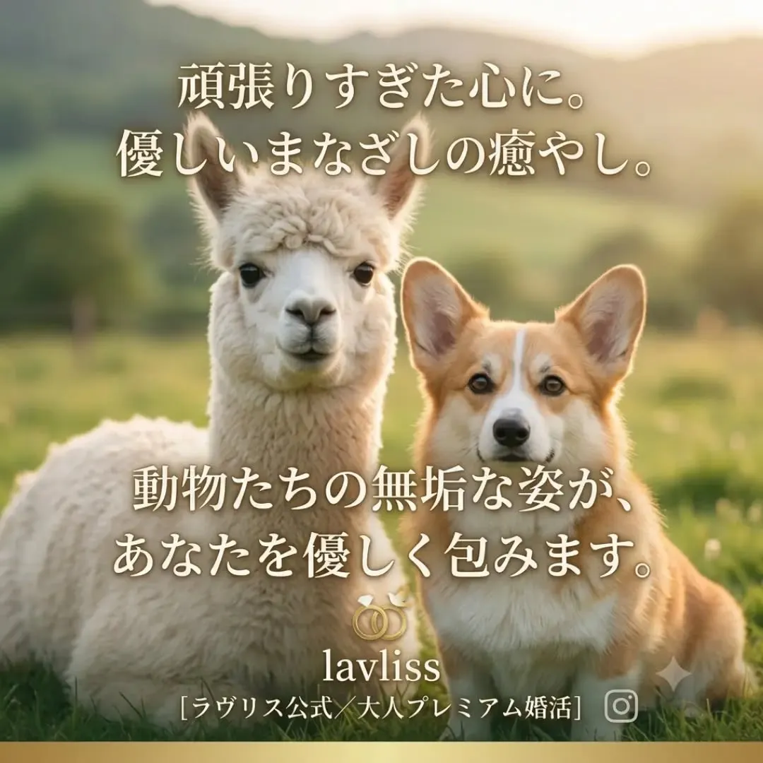 #婚活休憩 